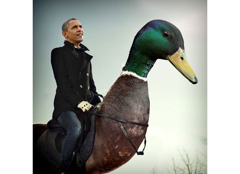 Obama: Horse-sized duck