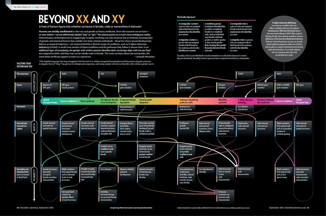 Beyond XX and XY