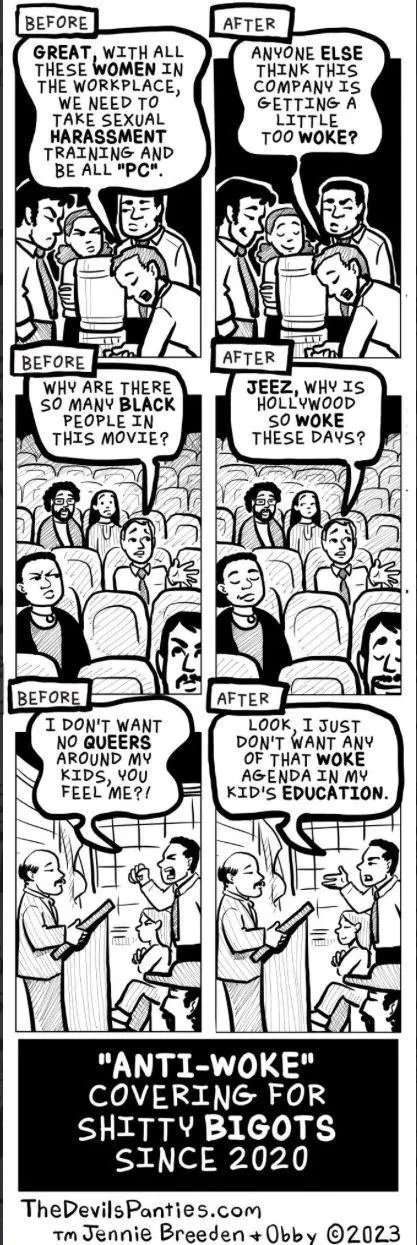 Six-panel black-and-white comic in three Before/After rows. Row 1 Before: "GREAT, WITH ALL THESE WOMEN IN THE WORKPLACE, WE NEED TO TAKE SEXUAL HARASSMENT TRAINING AND BE ALL "PC"." After: "ANYONE ELSE THINK THIS COMPANY IS GETTING A LITTLE TOO WOKE?" Row 2 Before: "WHY ARE THERE SO MANY BLACK PEOPLE IN THIS MOVIE?" After: "JEEZ, WHY IS HOLLYWOOD SO WOKE THESE DAYS?" Row 3 Before: "I DON'T WANT NO QUEERS AROUND MY…
