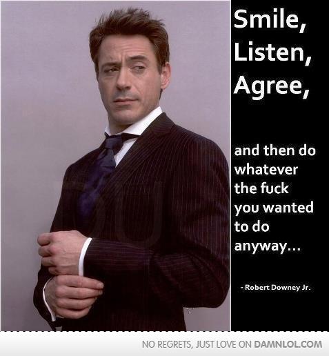 A man with tousled brown hair in a dark pinstriped suit, dark tie and white shirt glances sideways while adjusting his cuffs against a gray backdrop. Black panel text: "Smile, Listen, Agree, and then do whatever the fuck you wanted to do anyway... - Robert Downey Jr." Footer: "NO REGRETS, JUST LOVE ON DAMNLOL.COM".