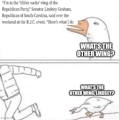 A two-panel cartoon. In the top panel, a white goose with an orange beak looms next to a newspaper excerpt reading: "I'm in the 'Hitler sucks' wing of the Republican Party," Senator Lindsey Graham, Republican of South Carolina, said over the weekend at the R.J.C. event. "Here's what I do". The goose says, "WHAT'S THE OTHER WING?" In the bottom panel, a figure in a puffy jacket runs away while the goose chases,…