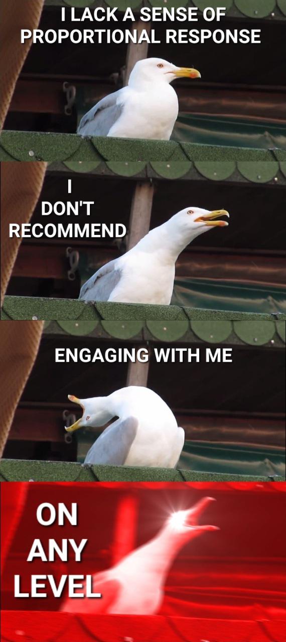 Four-panel meme of a white seagull on a green ledge opening its beak wider each panel, the last panel glowing red. Text reads: "I LACK A SENSE OF PROPORTIONAL RESPONSE", "I DON'T RECOMMEND", "ENGAGING WITH ME", "ON ANY LEVEL".