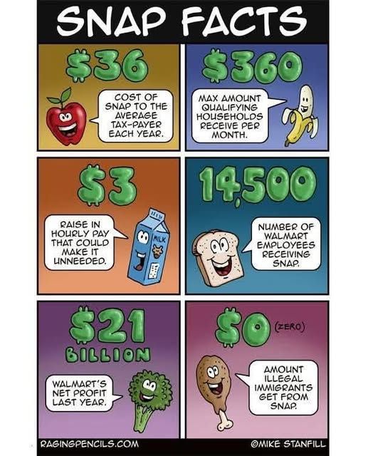 Six-panel comic titled "SNAP FACTS" with smiling food characters. Apple: "$36 Cost of SNAP to the average tax-payer each year." Banana: "$360 Max amount qualifying households receive per month." Milk carton: "$3 Raise in hourly pay that could make it unneeded." Bread: "14,500 Number of Walmart employees receiving SNAP." Broccoli: "$21 Billion Walmart's net profit last year." Drumstick: "$0 (zero) Amount illegal…
