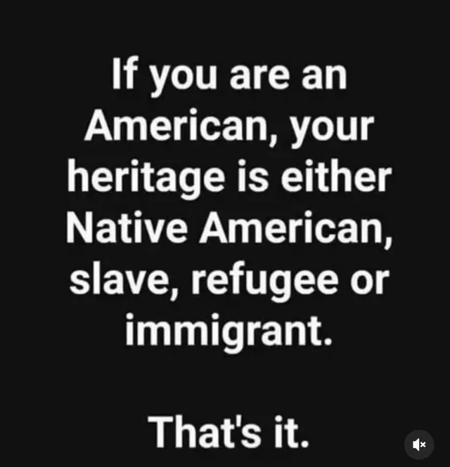 White text on a black background reads: "If you are an American, your heritage is either Native American, slave, refugee or immigrant. That's it." A small mute icon appears in the bottom right corner.