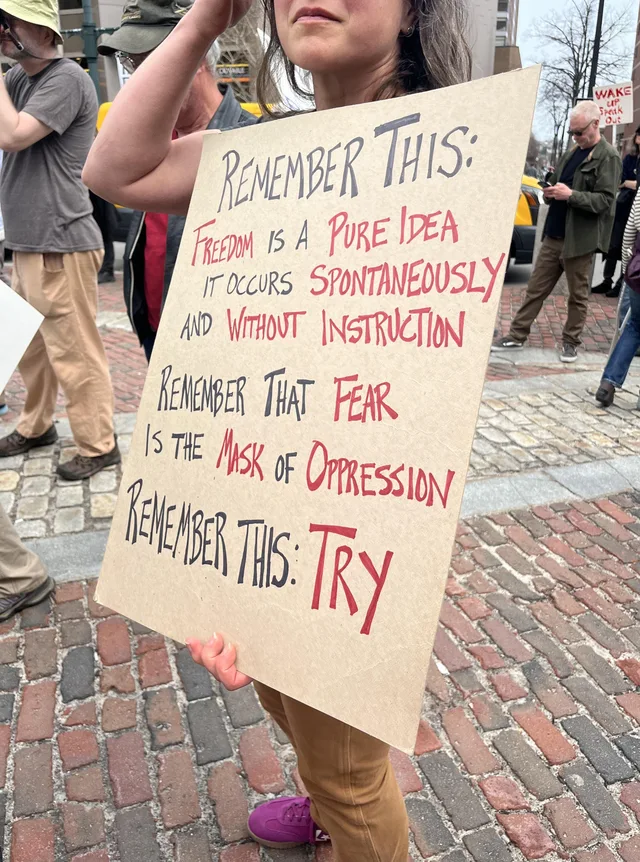 A person holds a tan cardboard protest sign on a brick street, face mostly out of frame. Hand-lettered in black and red: "Remember this: Freedom is a pure idea. It occurs spontaneously and without instruction. Remember that fear is the mask of oppression. Remember this: TRY"