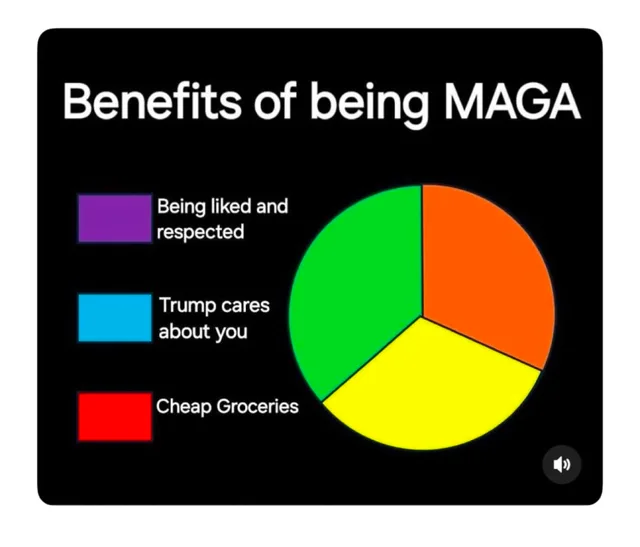 A pie chart on a black background titled "Benefits of being MAGA". The legend lists three items: purple "Being liked and respected", blue "Trump cares about you", and red "Cheap Groceries". The pie itself is only green, orange and yellow, so none of the legend colors appear in it.