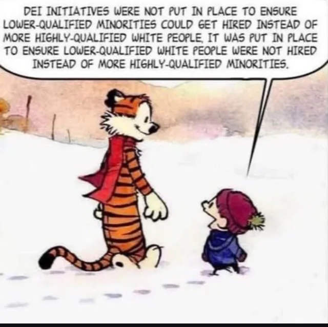 A Calvin and Hobbes comic panel: Hobbes the tiger in a red scarf walks through snow beside Calvin in a red knit cap and blue coat. A speech bubble reads: "DEI INITIATIVES WERE NOT PUT IN PLACE TO ENSURE LOWER-QUALIFIED MINORITIES COULD GET HIRED INSTEAD OF MORE HIGHLY-QUALIFIED WHITE PEOPLE. IT WAS PUT IN PLACE TO ENSURE LOWER-QUALIFIED WHITE PEOPLE WERE NOT HIRED INSTEAD OF MORE HIGHLY-QUALIFIED MINORITIES."
