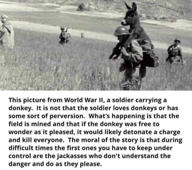 Black-and-white World War II photo of a soldier in a helmet carrying a donkey across a grassy field, with other soldiers in the distance. Caption: "This picture from World War II, a soldier carrying a donkey. It is not that the soldier loves donkeys or has some sort of perversion. What's happening is that the field is mined and that if the donkey was free to wonder as it pleased, it would likely detonate a charge…