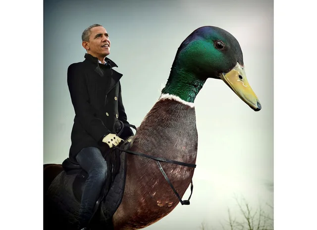 Photoshopped image of a man in a black pea coat, jeans and cream driving gloves, sitting in a saddle with reins on the back of a giant mallard duck. He looks upward and smiles against a pale gray-green sky. No text.