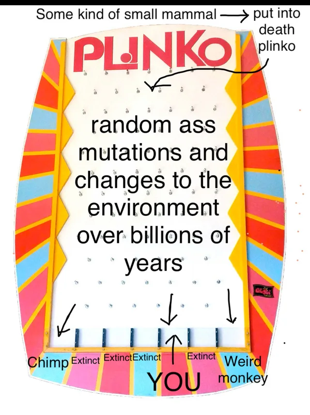 A Plinko board from The Price Is Right with colorful striped sides. Top text: "Some kind of small mammal" with an arrow to "put into death plinko". Board text: "random ass mutations and changes to the environment over billions of years". Slots read: "Chimp", "Extinct", "Extinct", "Extinct", "Extinct", "Weird monkey". An arrow points up to "YOU".