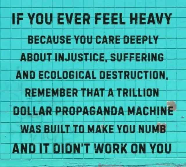Black stenciled text on a turquoise tiled wall reads: "IF YOU EVER FEEL HEAVY BECAUSE YOU CARE DEEPLY ABOUT INJUSTICE, SUFFERING AND ECOLOGICAL DESTRUCTION, REMEMBER THAT A TRILLION DOLLAR PROPAGANDA MACHINE WAS BUILT TO MAKE YOU NUMB AND IT DIDN'T WORK ON YOU"