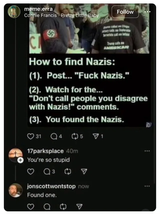 Screenshot of a social media post by meme.erra with a photo of men at a rally, one wearing a swastika armband, another in a shirt reading "Trump calls me American". Text: "How to find Nazis: (1). Post... "Fuck Nazis." (2). Watch for the... "Don't call people you disagree with Nazis!" comments. (3). You found the Nazis." Reply from 17parksplace: "You're so stupid". Reply from jonscottwontstop: "Found one."