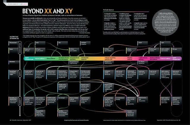 Scientific American infographic titled "Beyond XX and XY: A host of factors figure into whether someone is female, male or somewhere in between." A rainbow bar runs from typical biological female to typical biological male. Colored arrows link chromosomes, genes, hormones, organs and puberty.