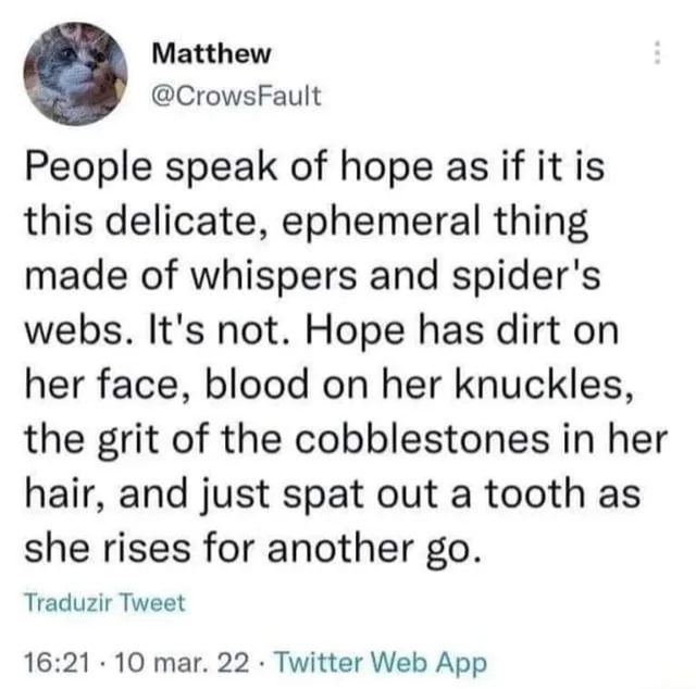 Screenshot of a tweet by Matthew, @CrowsFault, with a profile photo of a gray cat. Text: "People speak of hope as if it is this delicate, ephemeral thing made of whispers and spider's webs. It's not. Hope has dirt on her face, blood on her knuckles, the grit of the cobblestones in her hair, and just spat out a tooth as she rises for another go." Below: "Traduzir Tweet", "16:21 · 10 mar. 22 · Twitter Web App".