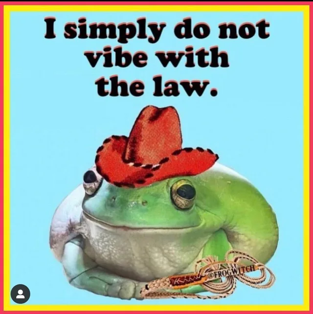 A cutout photo of a smiling green tree frog wearing a red cowboy hat with dark stitching and holding a coiled rope whip, on a light blue background with yellow and red borders. Text at top reads: "I simply do not vibe with the law." A small "@FROGWITCH" watermark sits on the whip.
