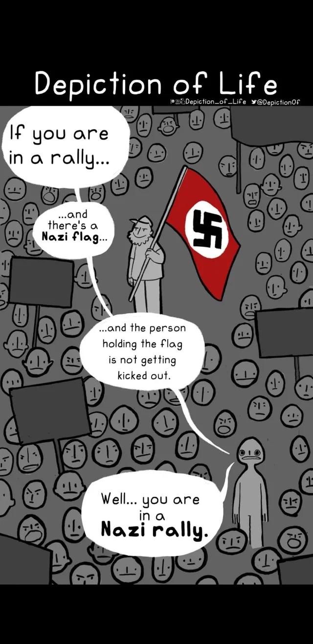 Gray comic by Depiction of Life: crowd of faces, a bearded man holds a swastika flag. Bubbles: "If you are in a rally... ...and there's a Nazi flag... ...and the person holding the flag is not getting kicked out." Lone figure: "Well... you are in a Nazi rally."