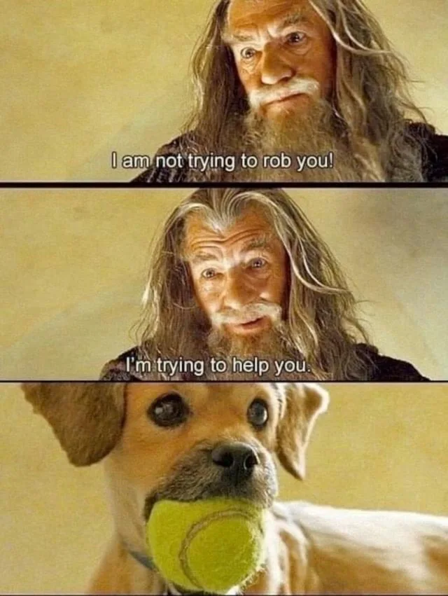 Three-panel meme. Top: a stern old man with long gray hair and beard, subtitle "I am not trying to rob you!" Middle: the same man, softer look, subtitle "I'm trying to help you." Bottom: a wide-eyed tan dog holding a tennis ball in its mouth.