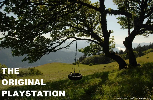 A tire swing hangs from a large oak tree branch over a green grassy hillside with distant hills and a river in the background. White text at lower left reads "THE ORIGINAL PLAYSTATION". Bottom right reads "facebook.com/homesteading".
