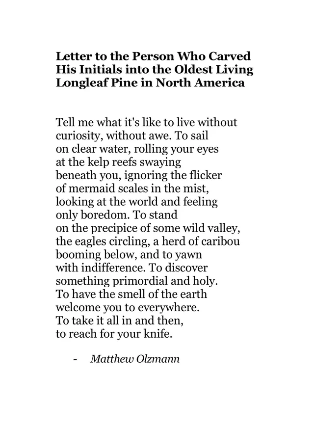 Black serif text on a white background. Bold title: "Letter to the Person Who Carved His Initials into the Oldest Living Longleaf Pine in North America". The poem reads: "Tell me what it's like to live without curiosity, without awe. To sail on clear water, rolling your eyes at the kelp reefs swaying beneath you, ignoring the flicker of mermaid scales in the mist, looking at the world and feeling only boredom. To…