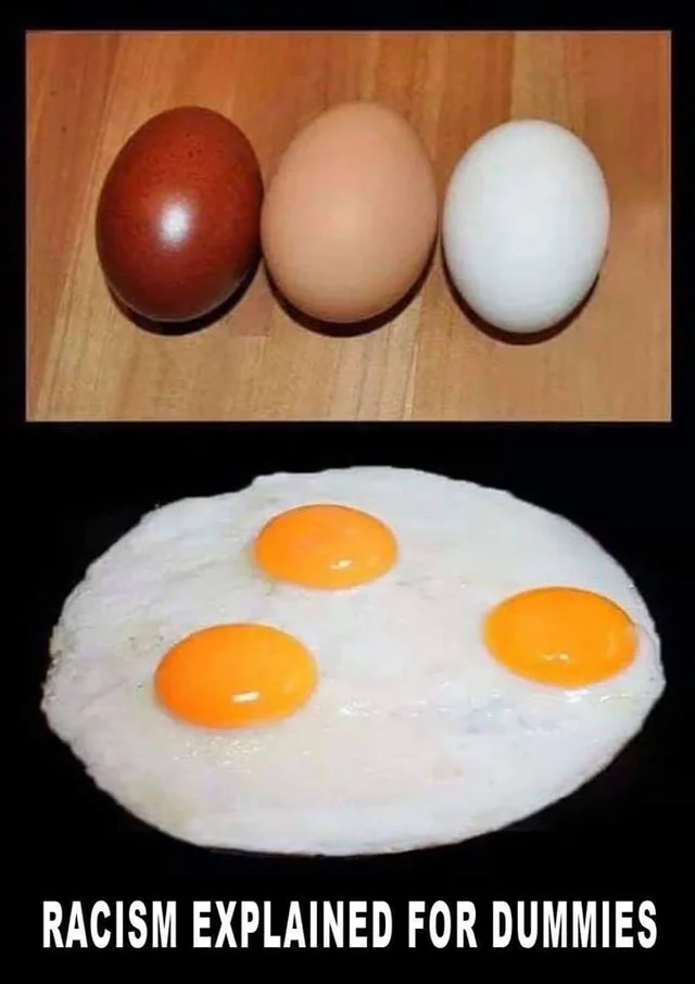 Top: three whole eggs on a wooden surface, one dark reddish-brown, one light tan, one white. Bottom: a single fried egg on a black background with three orange yolks. Caption in white capital letters: "RACISM EXPLAINED FOR DUMMIES".