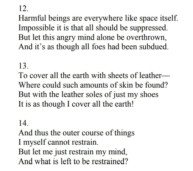 Plain black serif text on a white background, three numbered verses. 12. Harmful beings are everywhere like space itself. Impossible it is that all should be suppressed. But let this angry mind alone be overthrown, And it's as though all foes had been subdued. 13. To cover all the earth with sheets of leather— Where could such amounts of skin be found? But with the leather soles of just my shoes It is as though I…