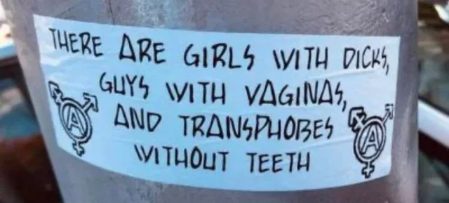 A light blue sticker on a gray metal pole with hand-lettered black text: "There are girls with dicks, guys with vaginas, and transphobes without teeth." A circled anarchist A combined with a transgender symbol appears at the left and right ends.