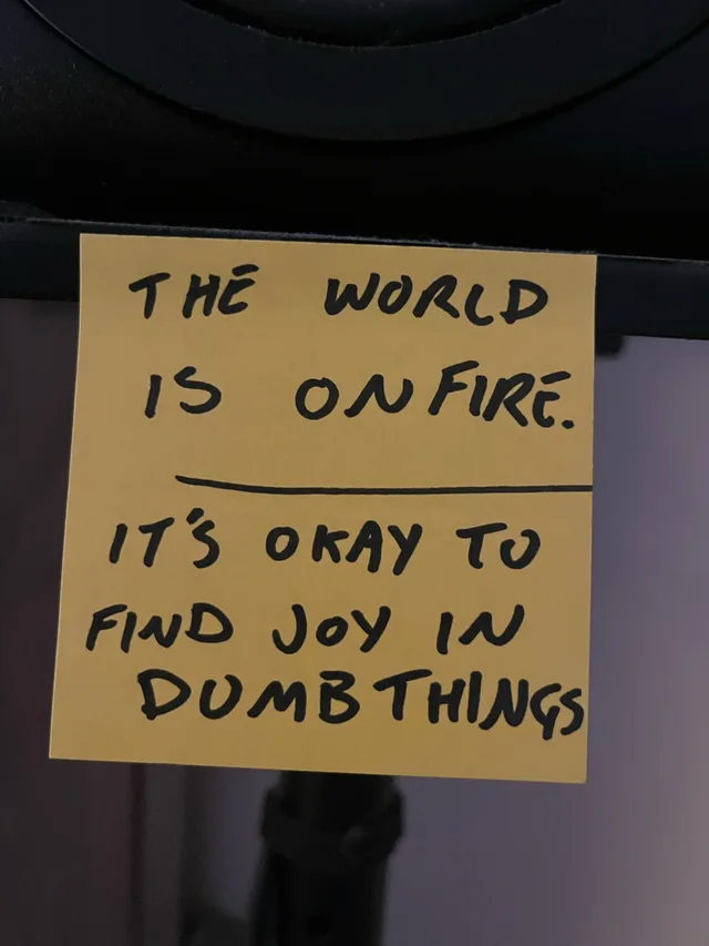 A yellow sticky note stuck to a dark surface, handwritten in black marker: "THE WORLD IS ON FIRE." A horizontal line follows, then: "IT'S OKAY TO FIND JOY IN DUMB THINGS"